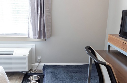 Teaticket Hotel | Iris Hotel Cape Cod