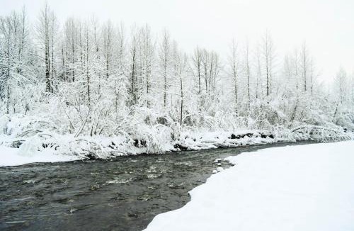 Girdwood House | Iris Pond