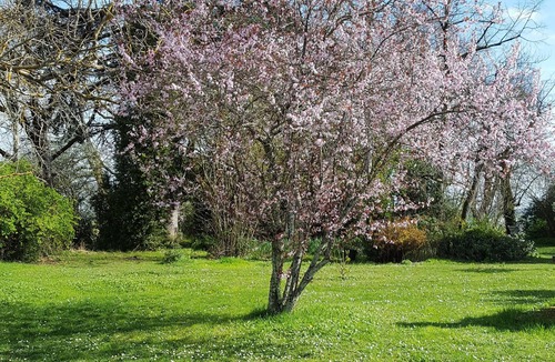 Castera-Lectourois House | IRIS room 1 to 2 people at the Gîte de Pères