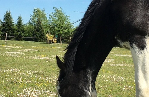 Genille House | Irish Caravan