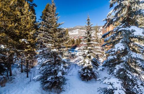 Mountain House Villa | Ironwood 2990