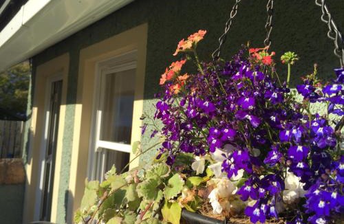 Irvine House | Irvine Bay