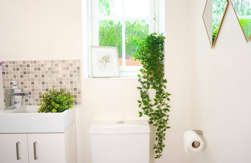 Bloxwich House | Irving House