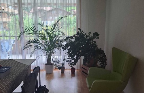 Iseltwald Apartment | ISELTWALD! A place where dreams come true.