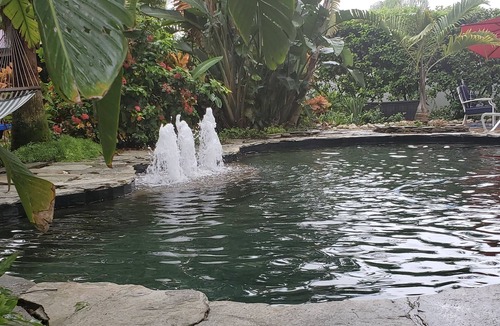 Dunedin Apartment | Island Oak Apartment