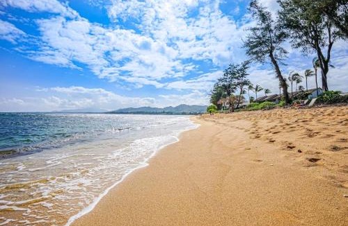 Wailua Hotel | Islander on the Beach 204