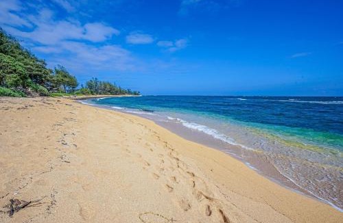Wailua Hotel | Islander on the Beach 370