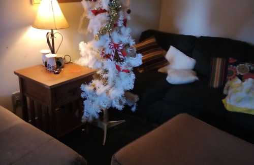 Roxboro Apartment | It's a relaxing place no regrets