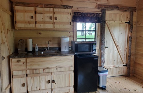 Leroy Cabin | It's the Wright Farm