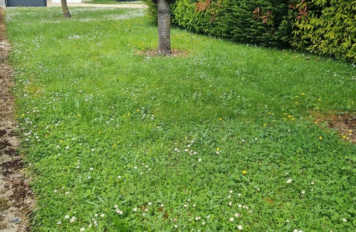 Vertus House | It sparkles