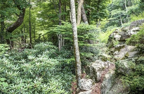 Blowing Rock Cottage | It’s time to plan your summer get away!