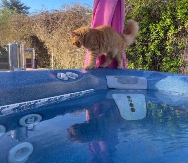 Stawell House | Ivy Cottage