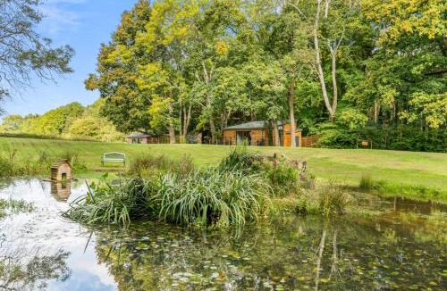 New Forest District House | Ivy Cottage Holiday Cabins