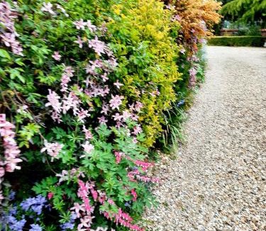 Sleaford House | Ivy House Barn, Heckington