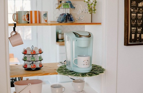 Joplin House | Ivy Jungalow | Bright, Clean, & near Downtown