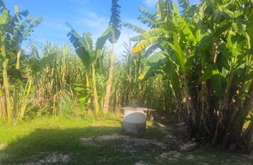 Kampung Rambutan Rendang House | Izzati Homestay