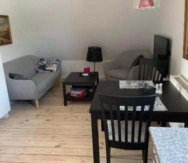 Skaerbaek Apartment | Jægergård