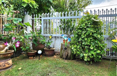 Central Seberang Perai House | J&A Greenery Garden Home