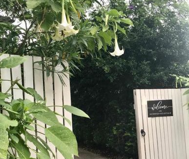 Kenmore Apartment | Jacaranda House Garden Suite