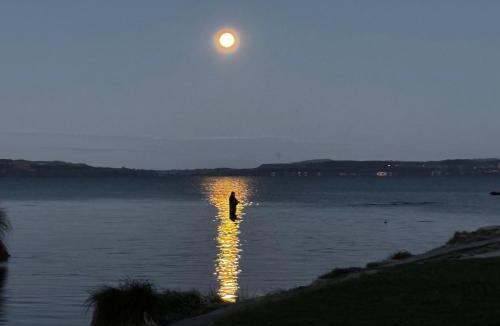 Ngongotaha Hotel | Jack & Di's Lakefront Motel