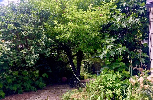 West Eugene House | Jackson Star by CosiDesign.a modern mid-century dream