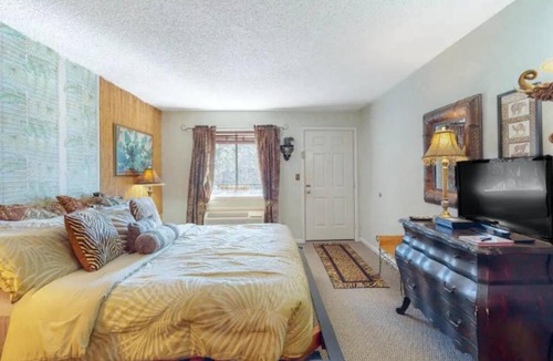 Eureka Springs Historic District Apartment | Jacuzzi Suite 205 at Tradewinds