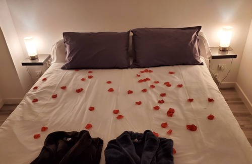 La Chatre Apartment | Jacuzzis ET Jardin Privatifs