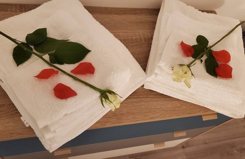 La Chatre Apartment | Jacuzzis ET Jardin Privatifs