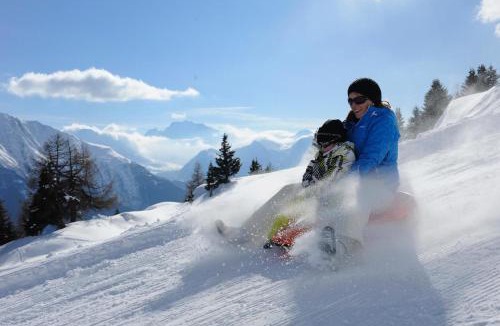 Bettmeralp Apartment | Jadwiga EG