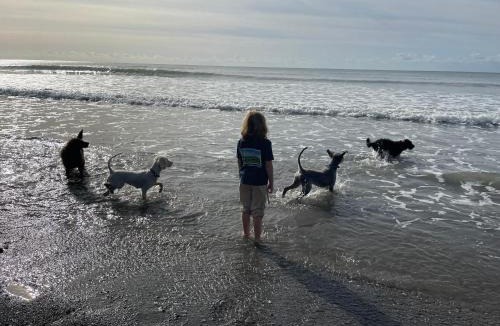 Widegates House | Jam First - Lydcott Glamping, Cornish Sea Views