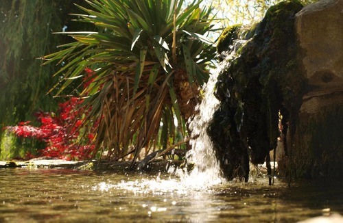 Ansouis Bed & Breakfast | jardin d'antan