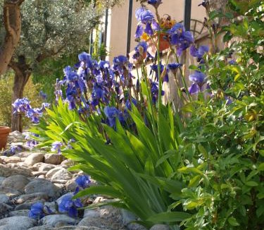 Ansouis Bed & Breakfast | jardin d'antan