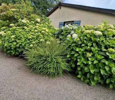 Montoulieu Apartment | Jardin Fleuri - Proche Foix