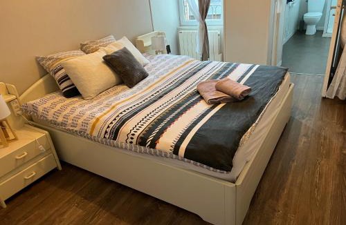 Nogent-le-Rotrou Apartment | Jasmin