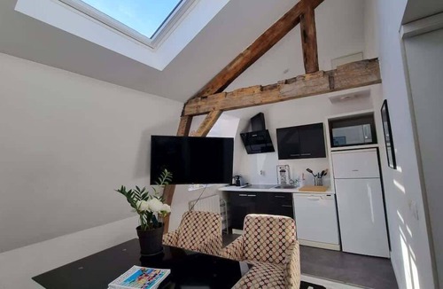 Saint-Maurice Pellevoisin Apartment | Jasmine-Proche gare, Grd Palais, Zénith&Centre