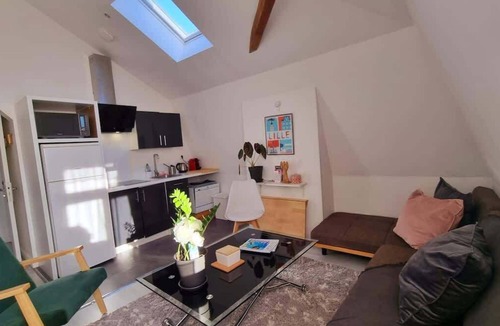 Saint-Maurice Pellevoisin Apartment | Jasmine-Proche gare, Grd Palais, Zénith&Centre