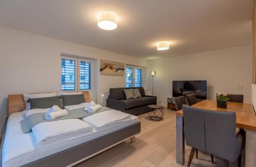 St. Gallen Apartment | Jasminkas Host 1, Ruhig, Gratis Parkplatz Balkon & im 1, Stockwerk