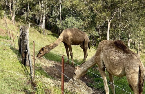Glastonbury Bed & Breakfast | Jasper Ridge Cottage