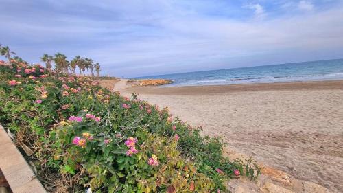 Flamenca Beach Apartment | Jazmines apartment with flexible check-in