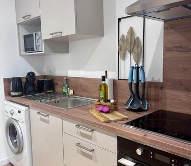 Saint-Jean-sur-Vilaine Apartment | Jean Vilain