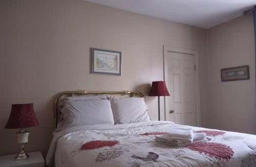 Downtown St. John's House | Jelly Bean 2