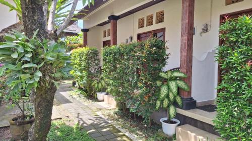 Sanur House | Jepun Bali Homestay Sanur