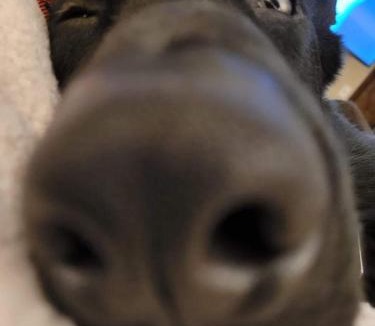 Berlin Ski Chalet | Jericho Brook Cottage