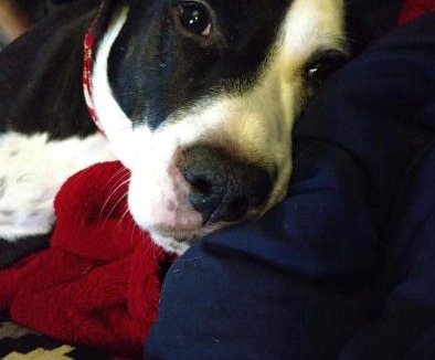 Berlin Ski Chalet | Jericho Brook Cottage