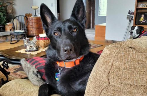 Berlin Ski Chalet | Jericho Brook Cottage