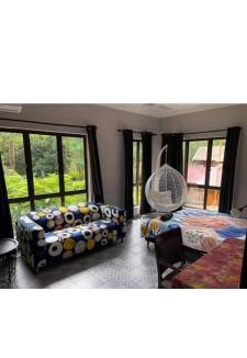 Bentong District House | Jimmy Durian Orchard