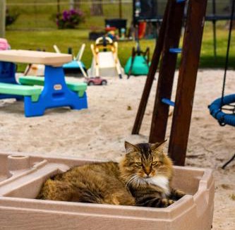 South Kolan House | JJJ's Ranch Farm 2 by Tiny Away