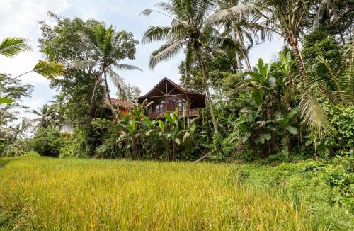 Payangan Cabin | JoeWell Cabin