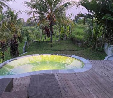 Peliatan Cabin | Joglo private mini pool in ubud By iLys C