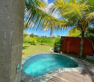 Peliatan Cabin | Joglo private mini pool in ubud By iLys C